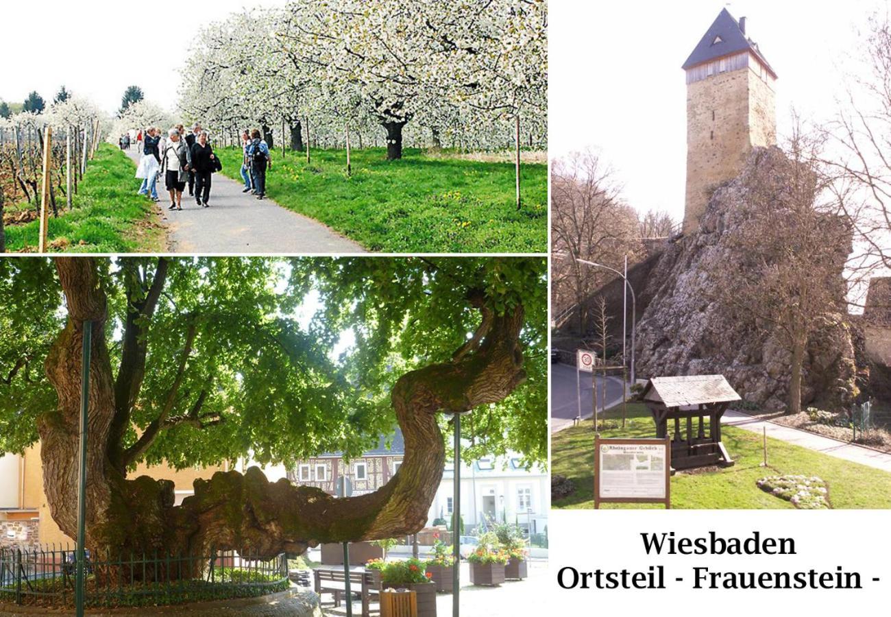 Burgblick * Wiesbaden